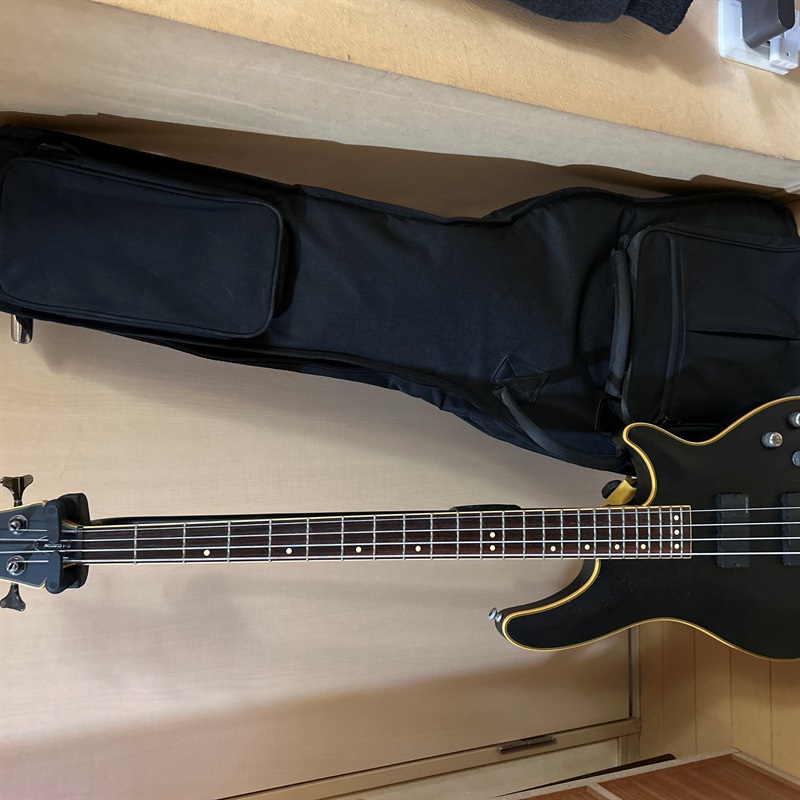 SCHECTER DIAMOND SERIES C-4 CUSTOMの画像